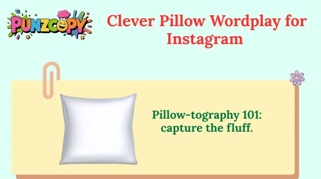 Clever Pillow Wordplay for Instagram