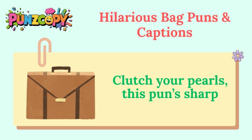 Hilarious Bag Puns & Captions