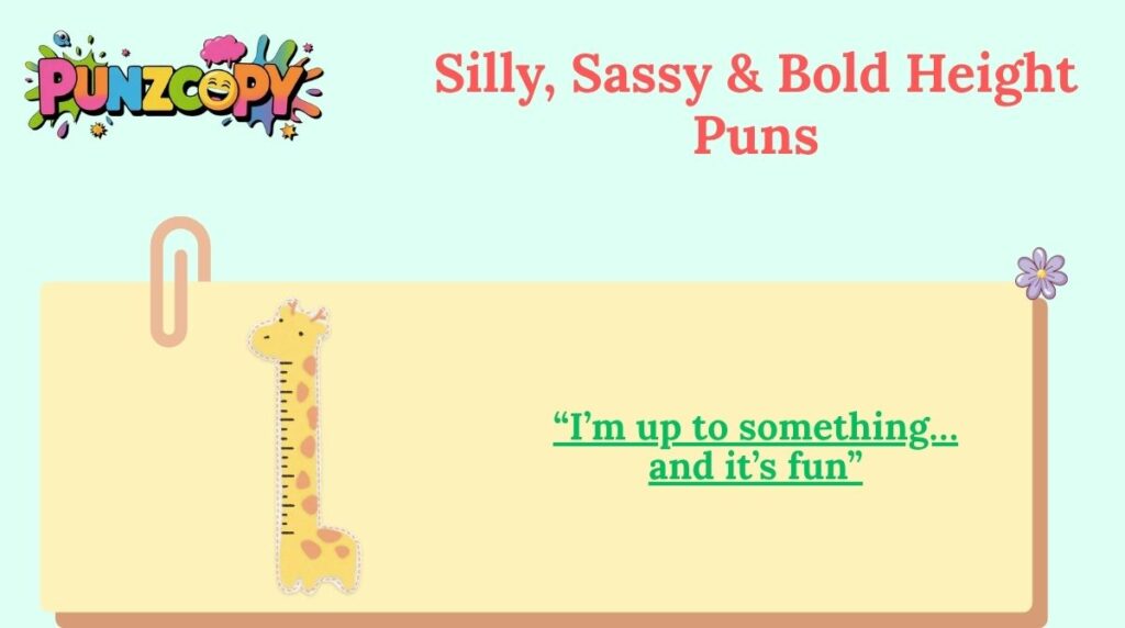 Silly, Sassy & Bold Height Puns