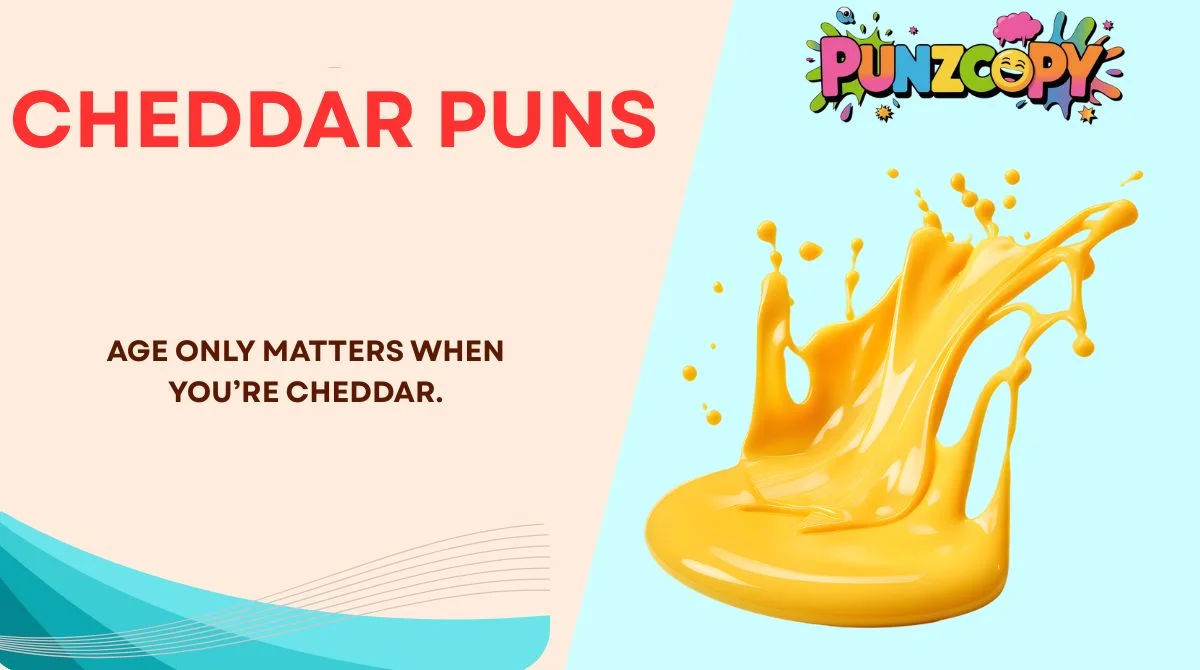 Cheddar Puns