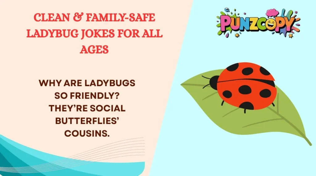 Clean & Family-Safe Ladybug Jokes for All Ages