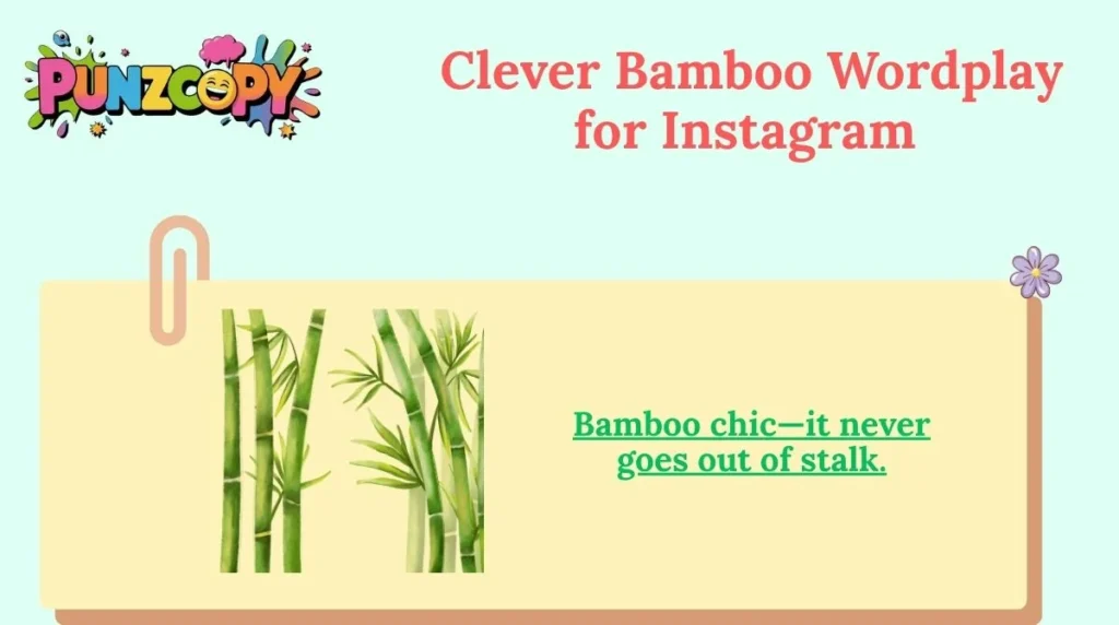 Clever Bamboo Wordplay for Instagram