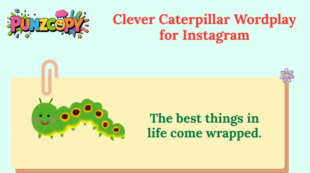 Clever Caterpillar Wordplay for Instagram