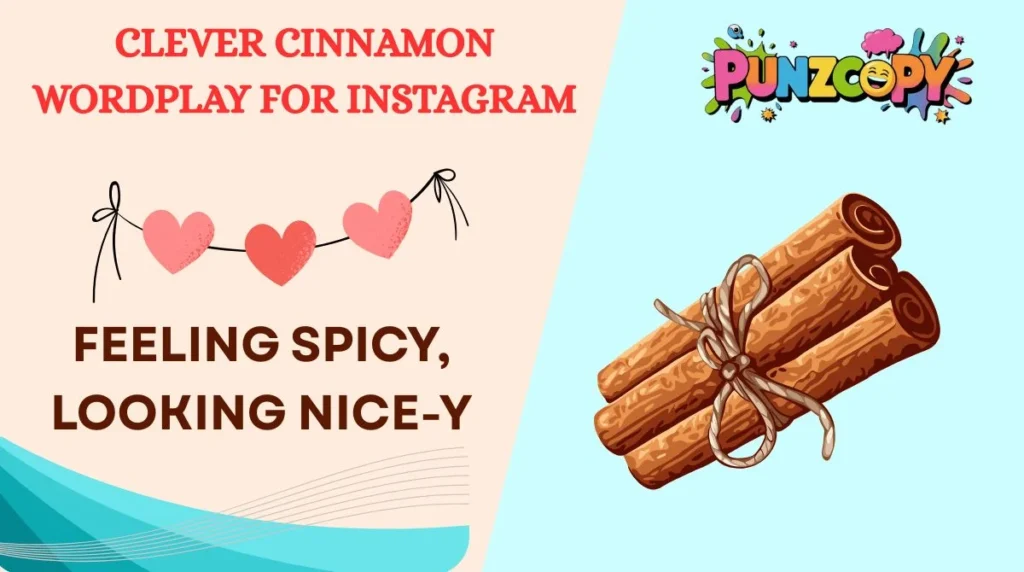 Clever Cinnamon Wordplay for Instagram