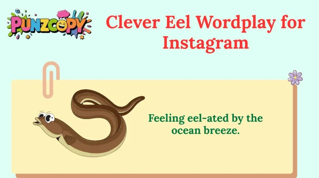 Clever Eel Wordplay for Instagram