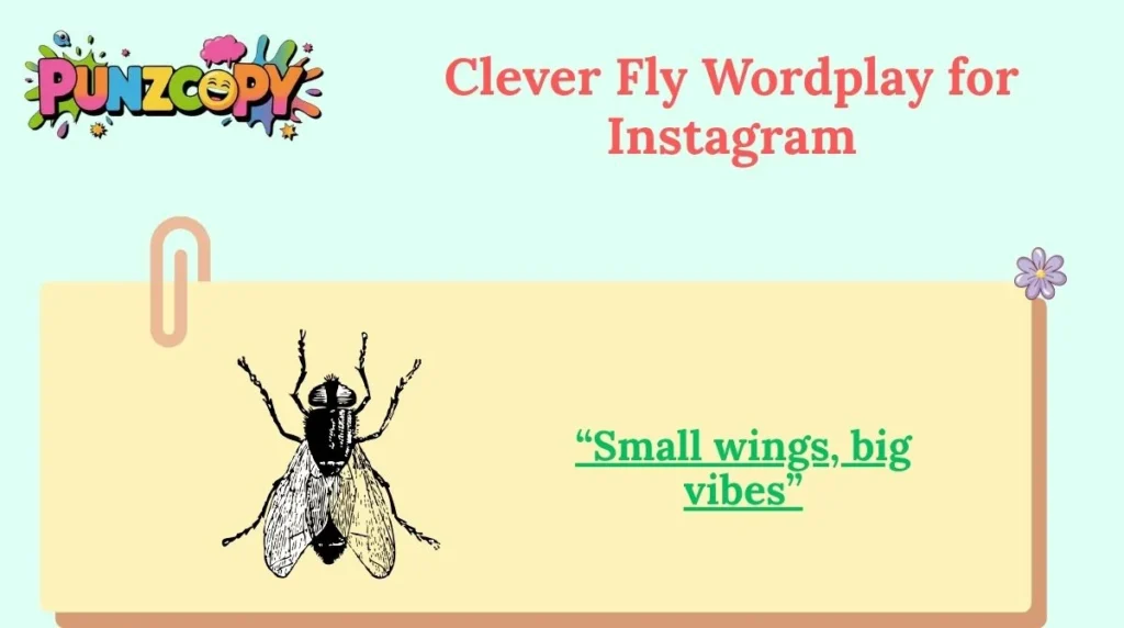 Clever Fly Wordplay for Instagram