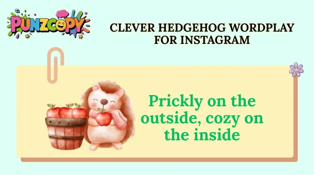 Clever Hedgehog Wordplay for Instagram