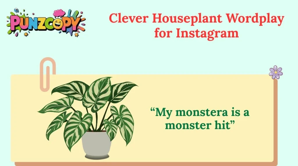 Clever Houseplant Wordplay for Instagram