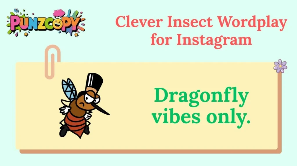 Clever Insect Wordplay for Instagram