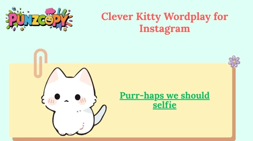 Clever Kitty Wordplay for Instagram