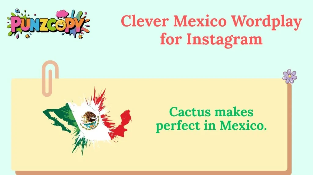Clever Mexico Wordplay for Instagram
