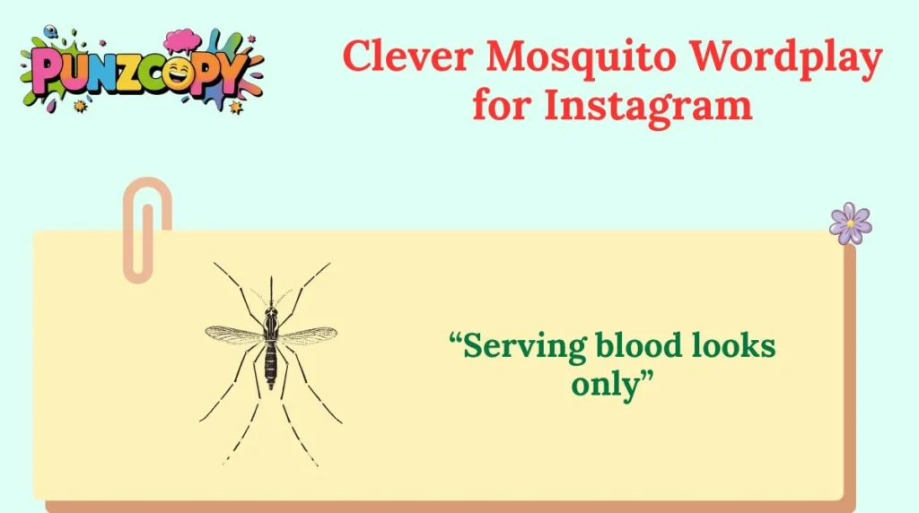 Clever Mosquito Wordplay for Instagram