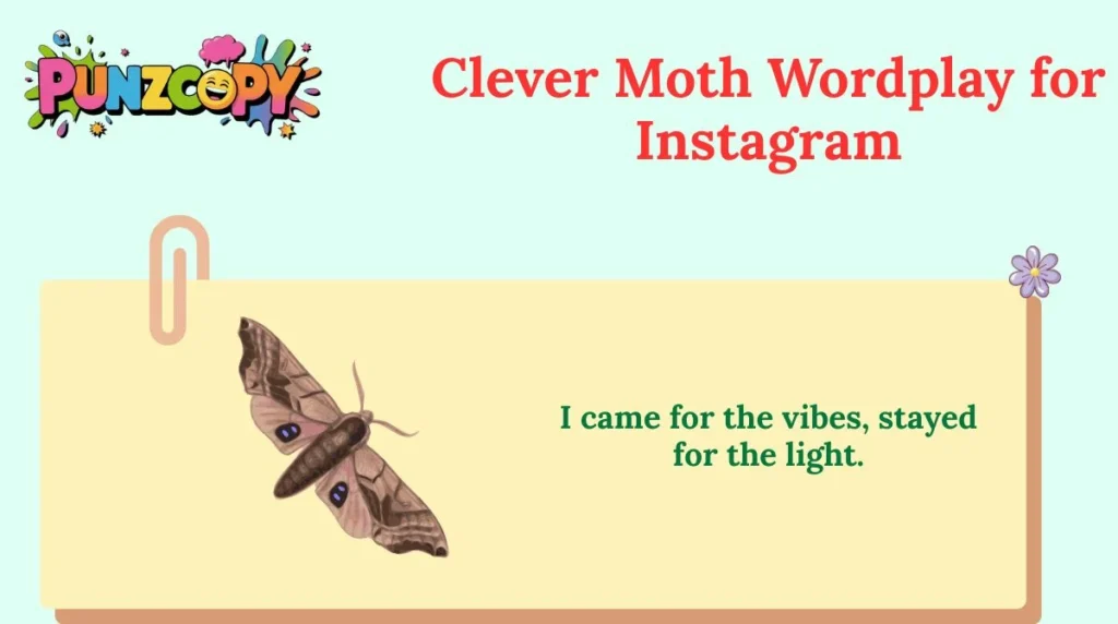 Clever Moth Wordplay for Instagram