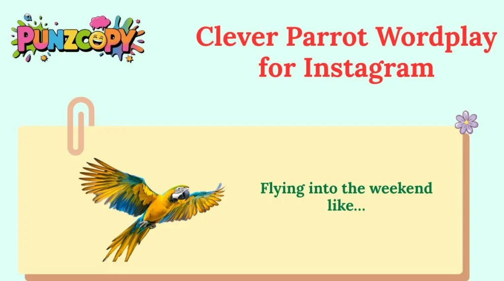 Clever Parrot Wordplay for Instagram