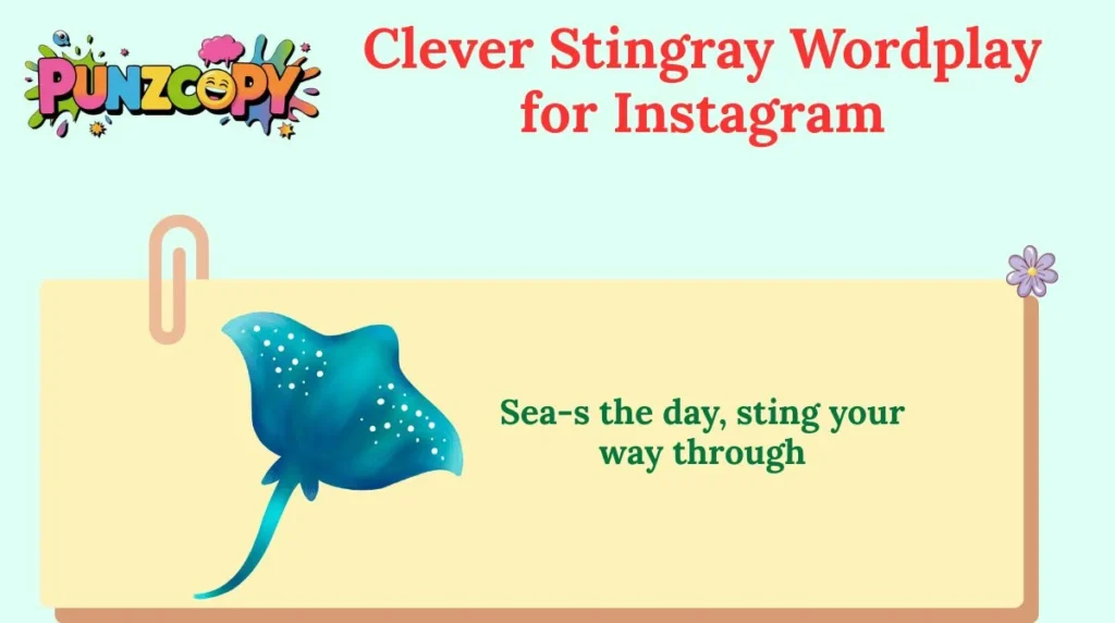 Clever Stingray Wordplay for Instagram