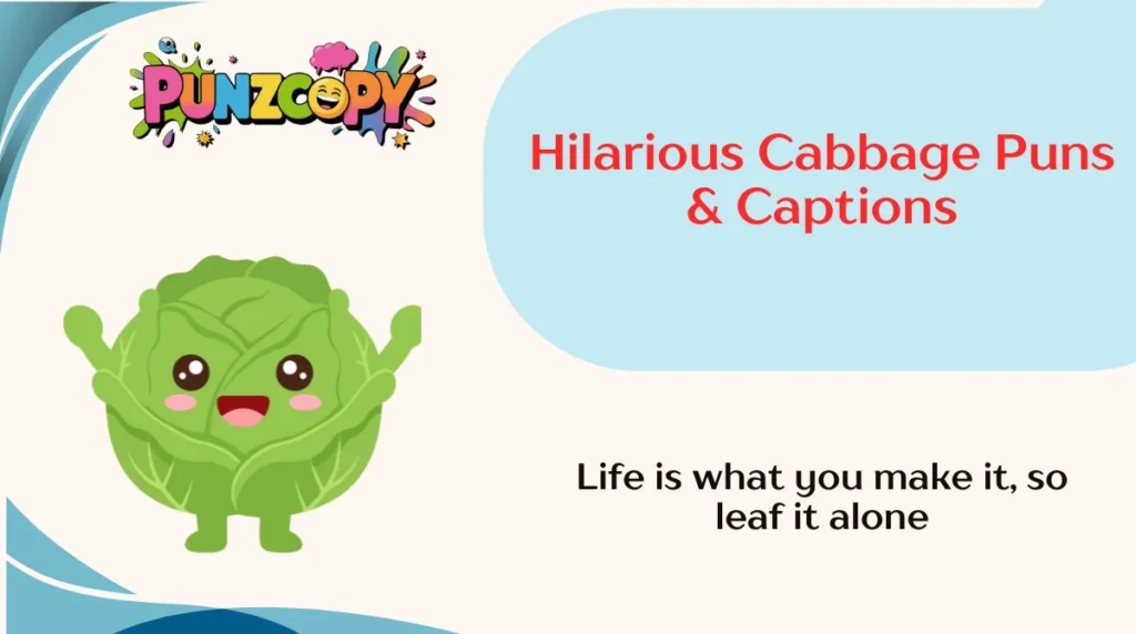 Hilarious Cabbage Puns & Captions