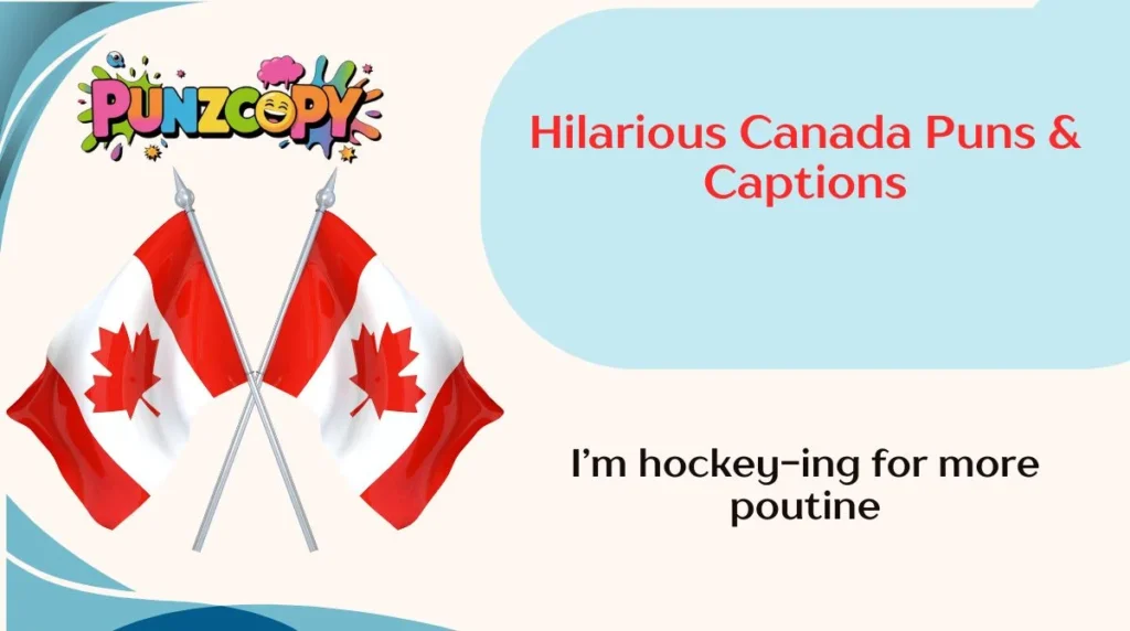 Hilarious Canada Puns & Captions