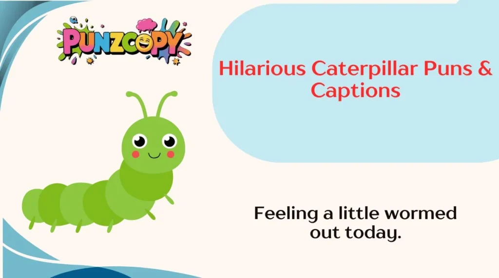 Hilarious Caterpillar Puns & Captions