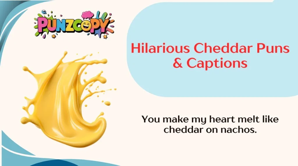 Hilarious Cheddar Puns & Captions