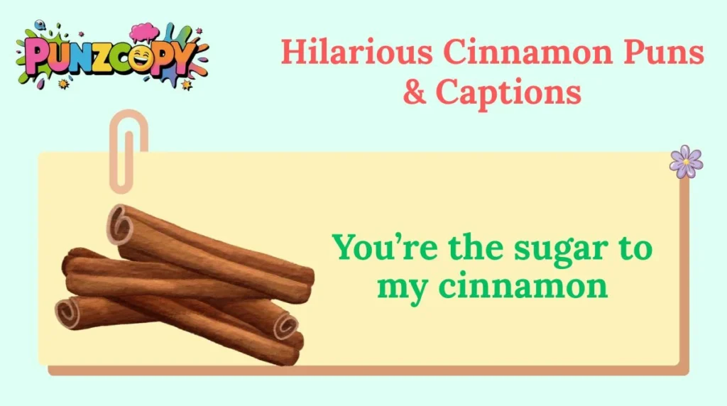 hilarious-cinnamon-puns-and-captions