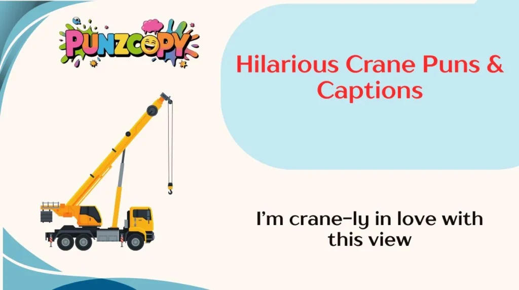 Hilarious Crane Puns & Captions