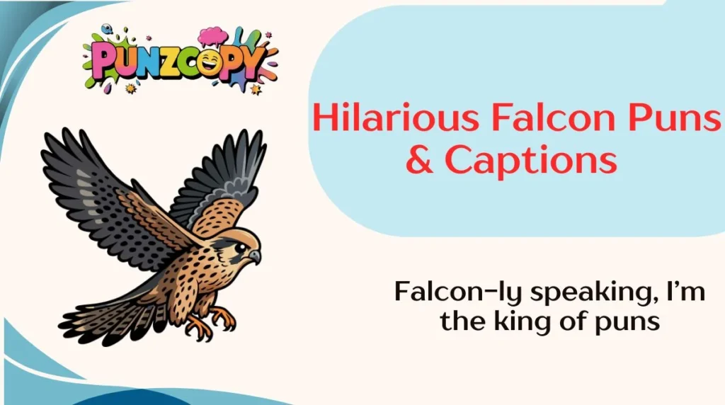 Hilarious Falcon Puns & Captions