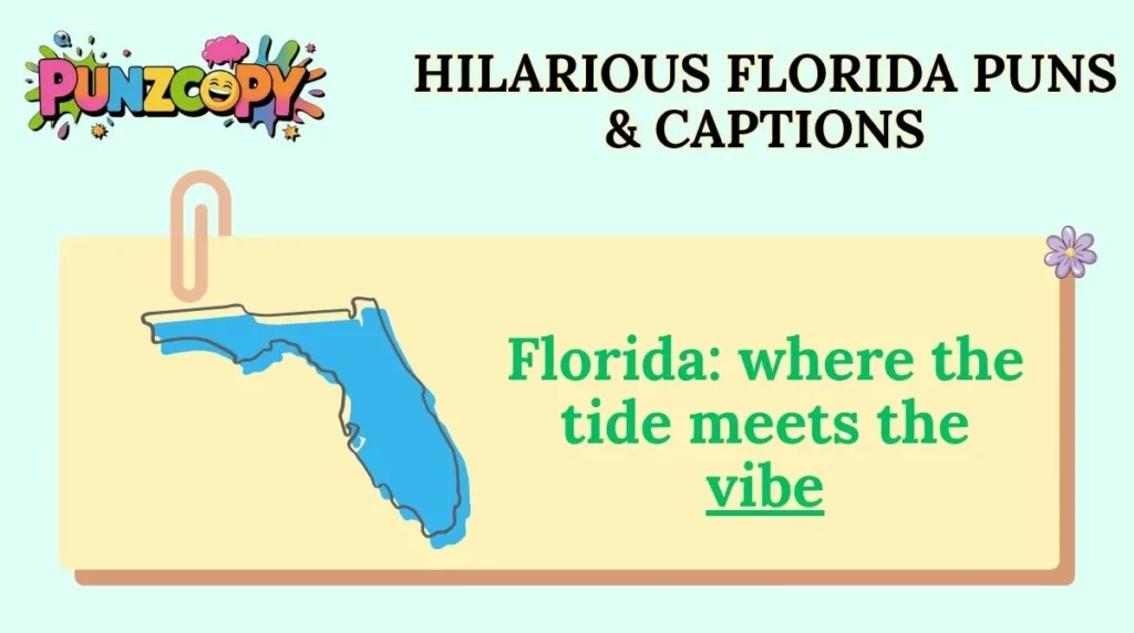 Hilarious Florida Puns & Captions