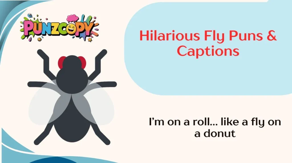 Hilarious Fly Puns & Captions