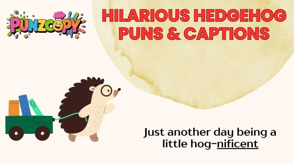 Hilarious Hedgehog Puns & Captions