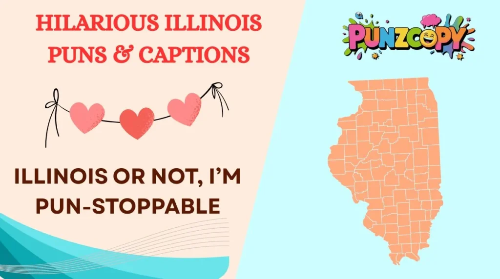 Hilarious Illinois Puns & Captions