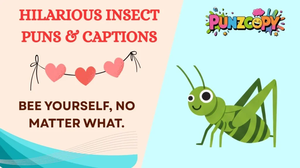 Hilarious Insect Puns & Captions