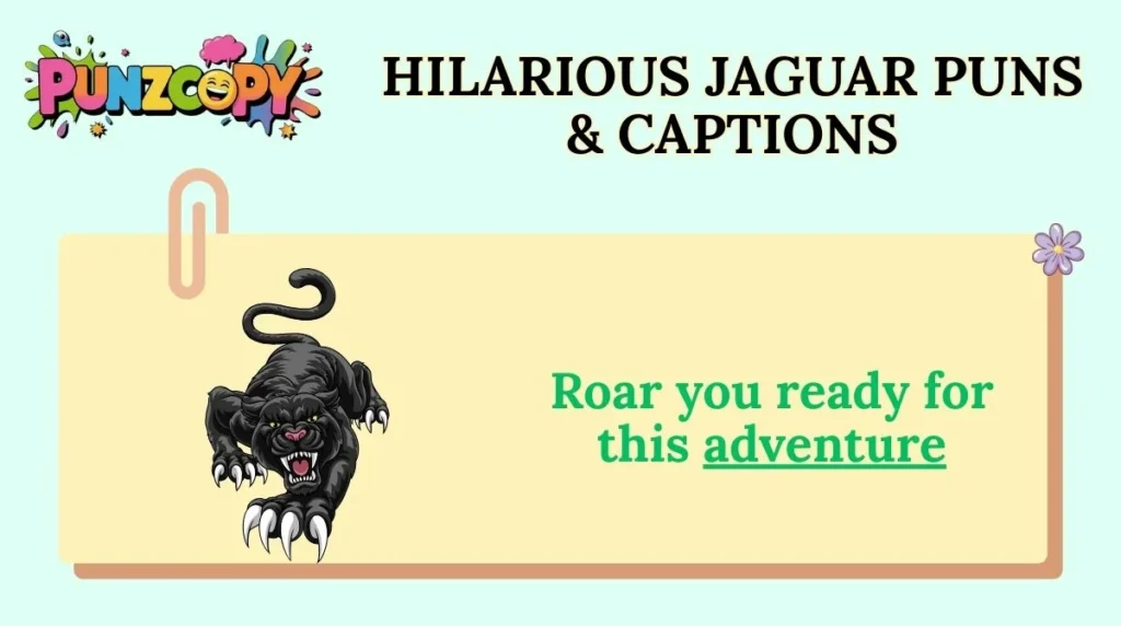 hilarious-jaguar-puns-and-captions