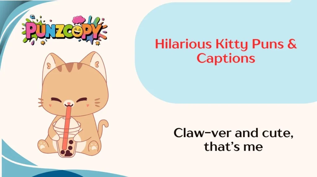 Hilarious Kitty Puns & Captions