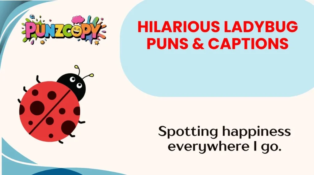 Hilarious Ladybug Puns & Captions