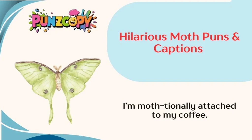 Hilarious Moth Puns & Captions