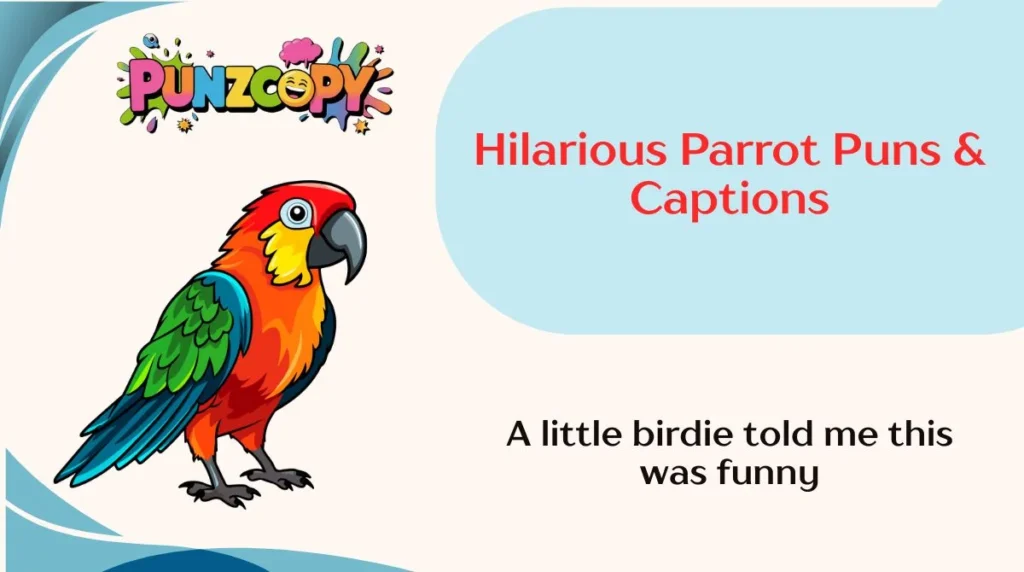 Hilarious Parrot Puns & Captions