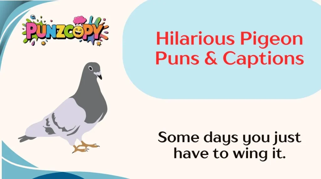 Hilarious Pigeon Puns & Captions