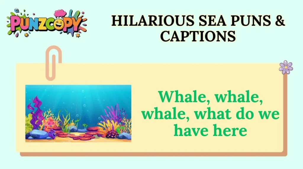 Hilarious Sea Puns & Captions