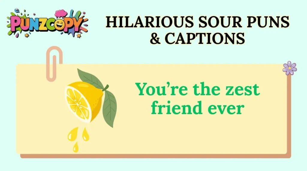 Hilarious Sour Puns & Captions