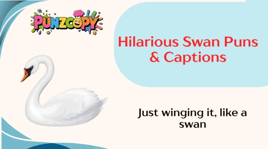 Hilarious Swan Puns & Captions