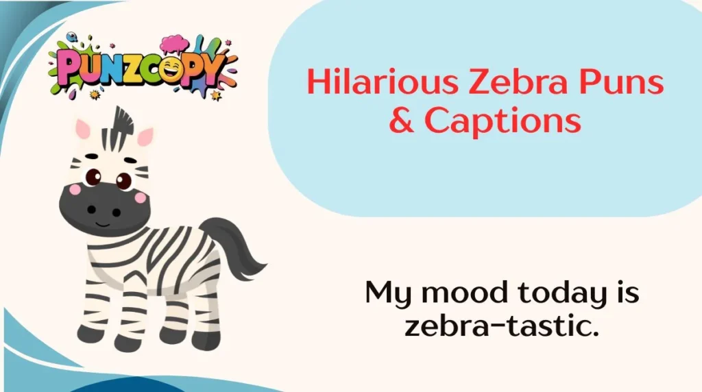 hilarious-zebra-puns-and-captions