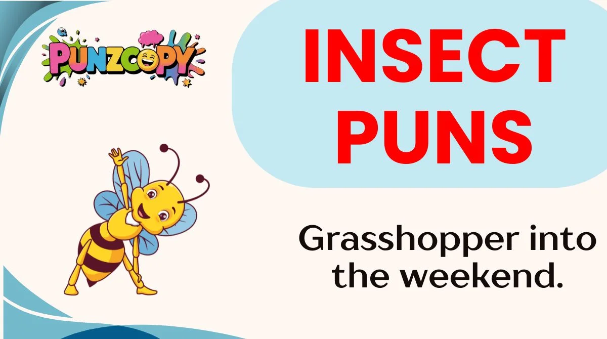 Insect Puns