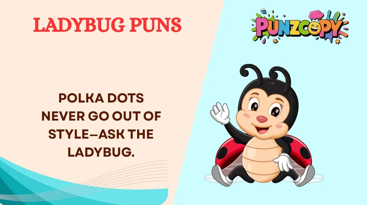 Ladybug Puns