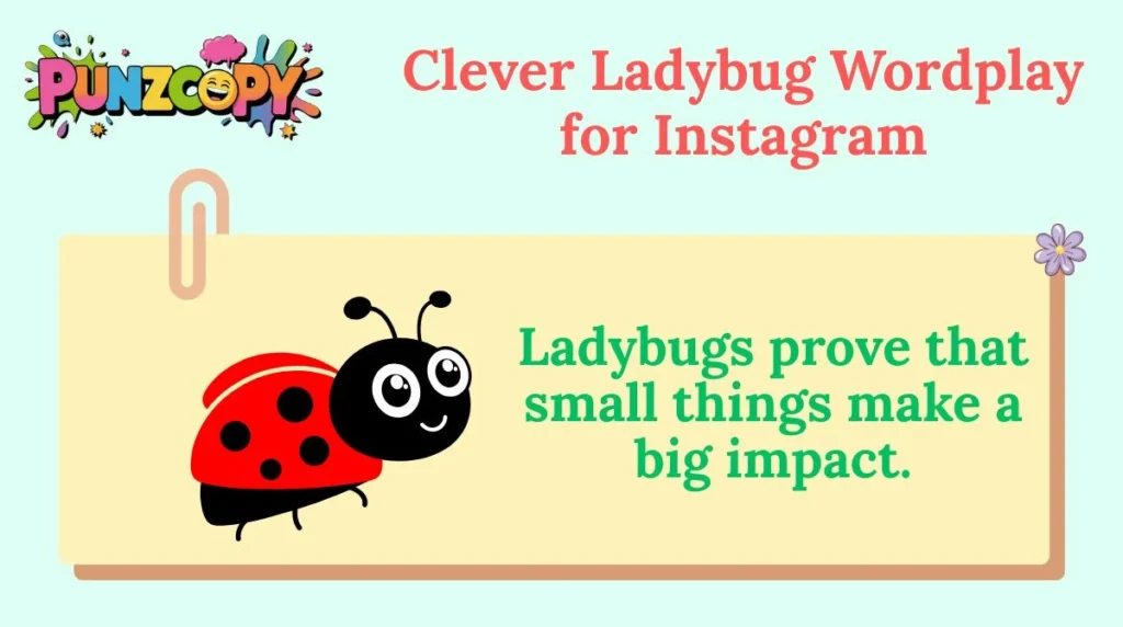 Clever Ladybug Wordplay for Instagram