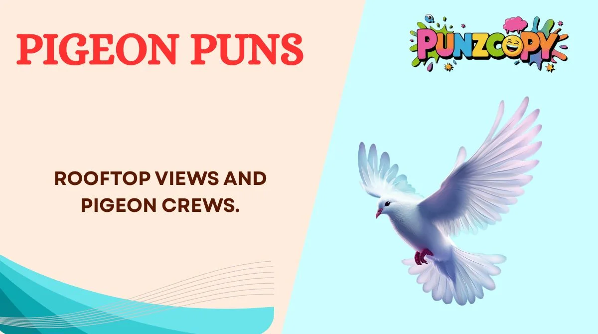 Pigeon Puns