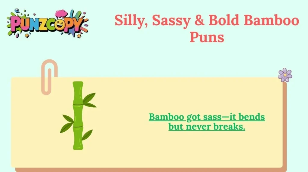 Silly, Sassy & Bold Bamboo Puns