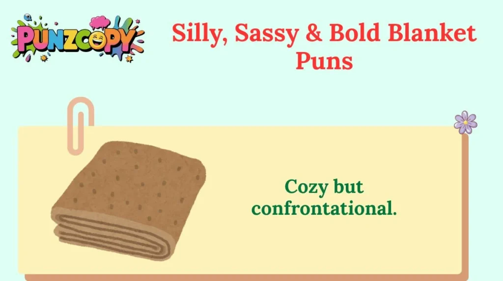 Silly, Sassy & Bold Blanket Puns