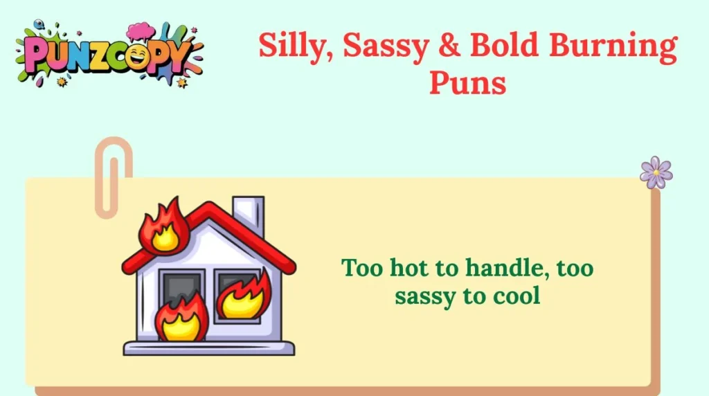 Silly, Sassy & Bold Burning Puns