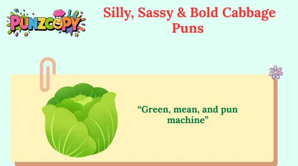 Silly, Sassy & Bold Cabbage Puns