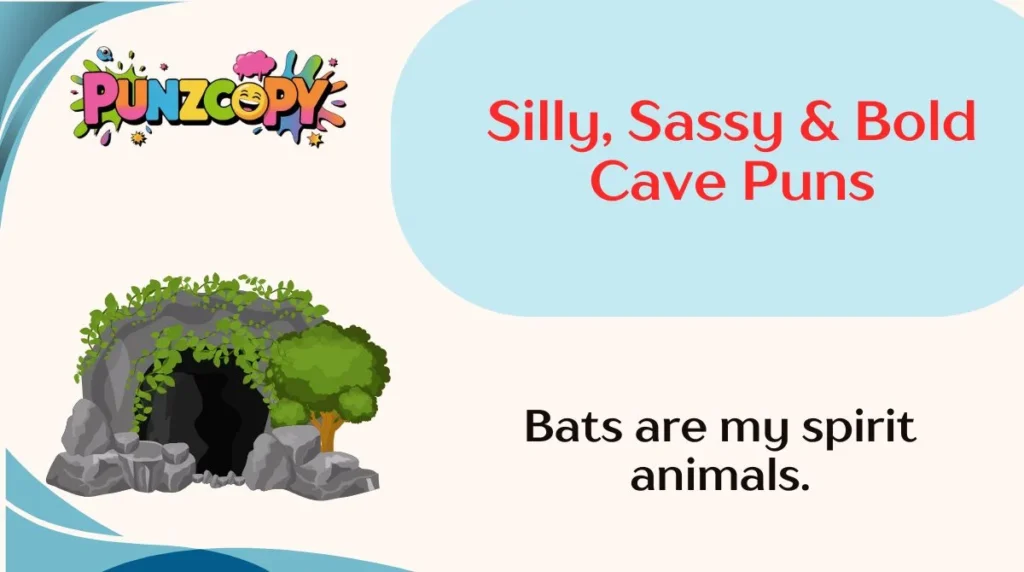 Silly, Sassy & Bold Cave Puns